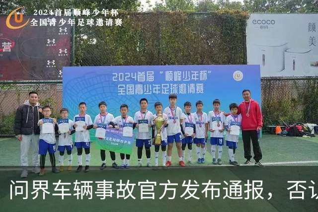 问界车辆事故官方发布通报，否认“电池爆燃”“智驾撞击”传言